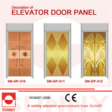 Stainless Steel Door Panel for Elevator Cabin Decoration (SN-DP-310)